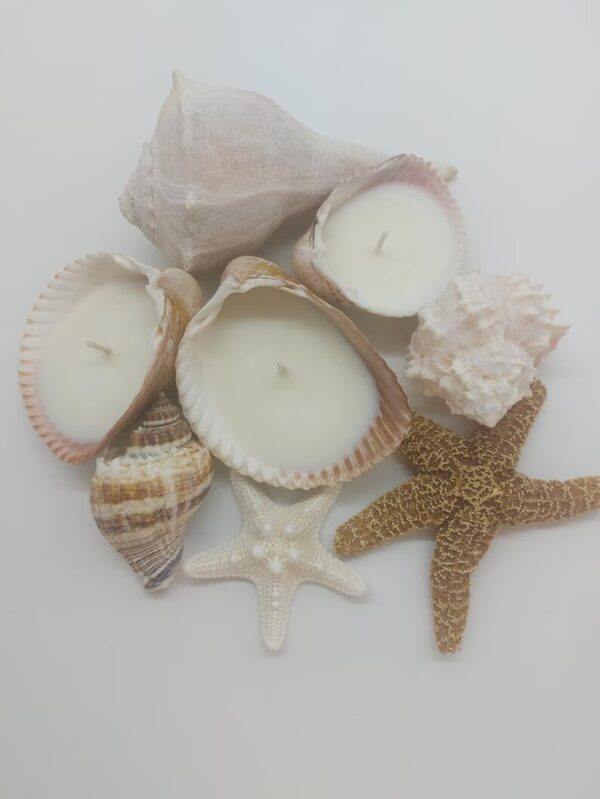 Handmade Seashell Soy Candles-Beach Candles-Ocean Shell Candles - Image 2