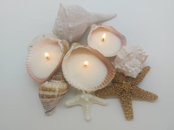 Handmade Seashell Soy Candles-Beach Candles-Ocean Shell Candles